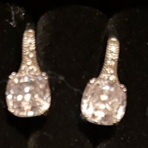 Elegant Silver Drop Earrings